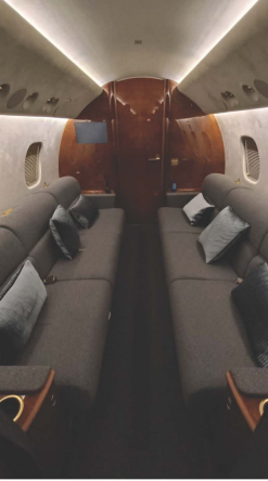 Embraer Legacy 600  S/N 14501091 for sale | gallery image: /hal/userfiles/images/listing-images/42256/000471.png