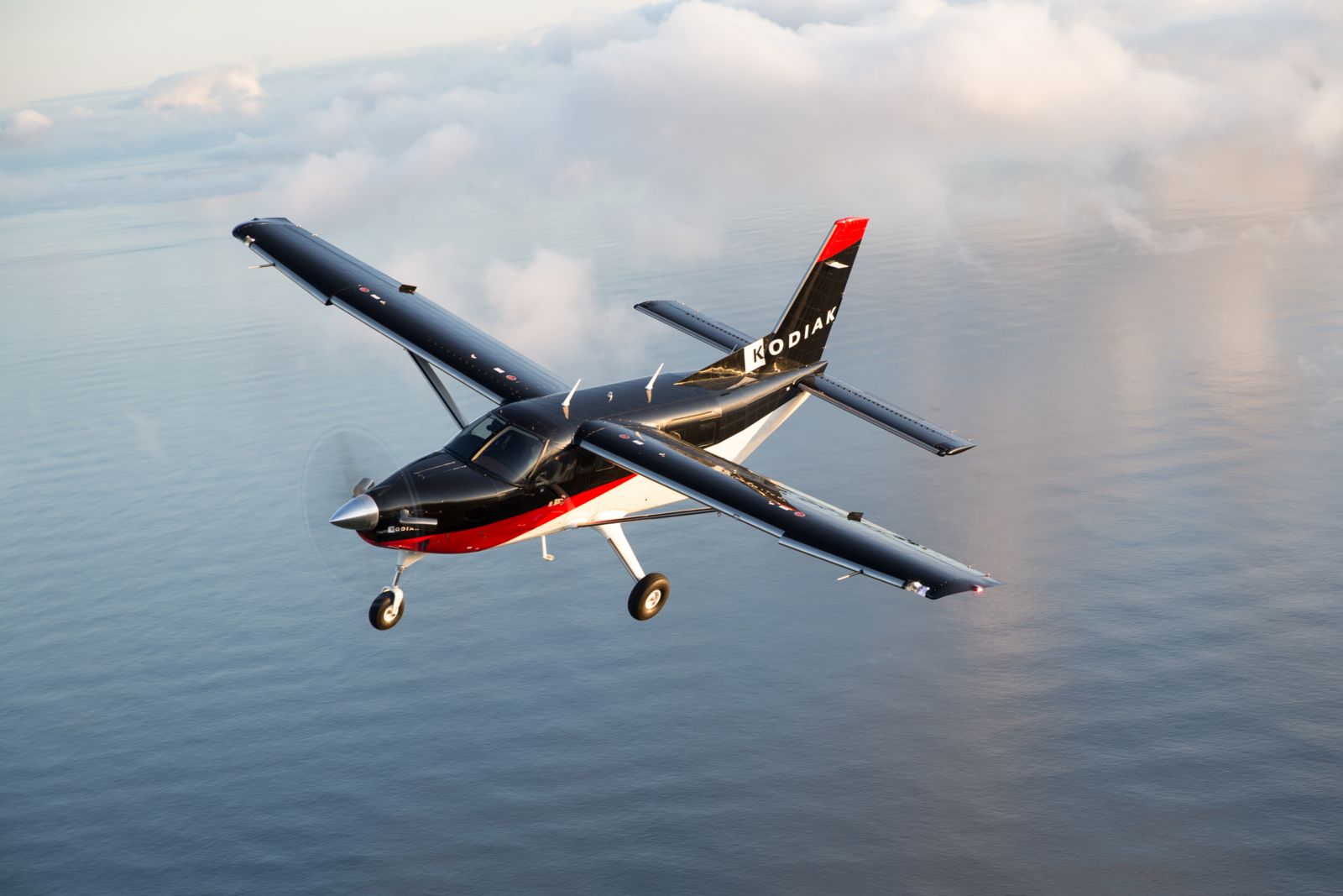 Daher QUEST KODIAK 100 Banner